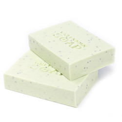 Săpun natural Antiseptic 2